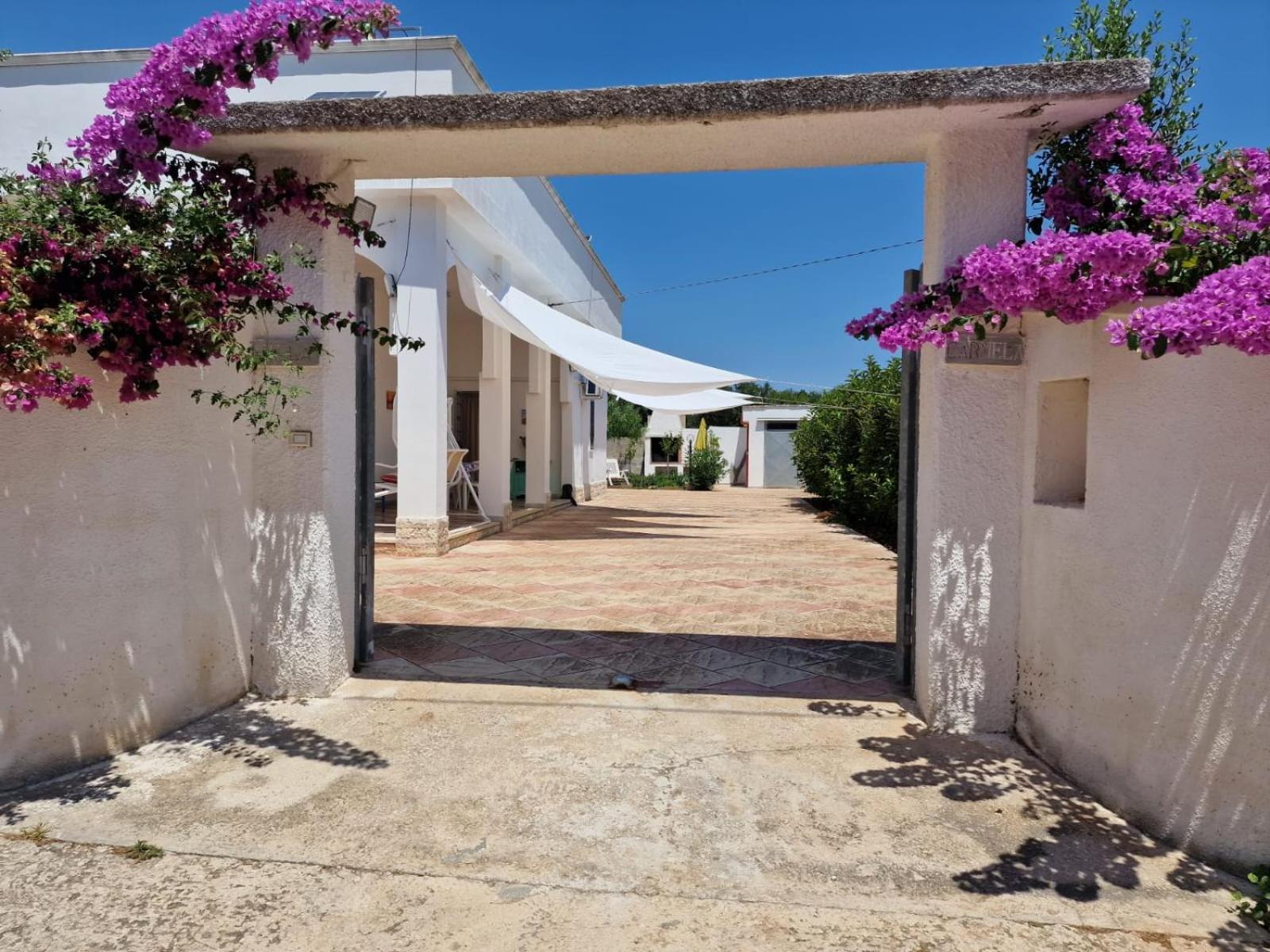 Villa Carmela A Сан-П'єтро-ін-Беванья Екстер'єр фото