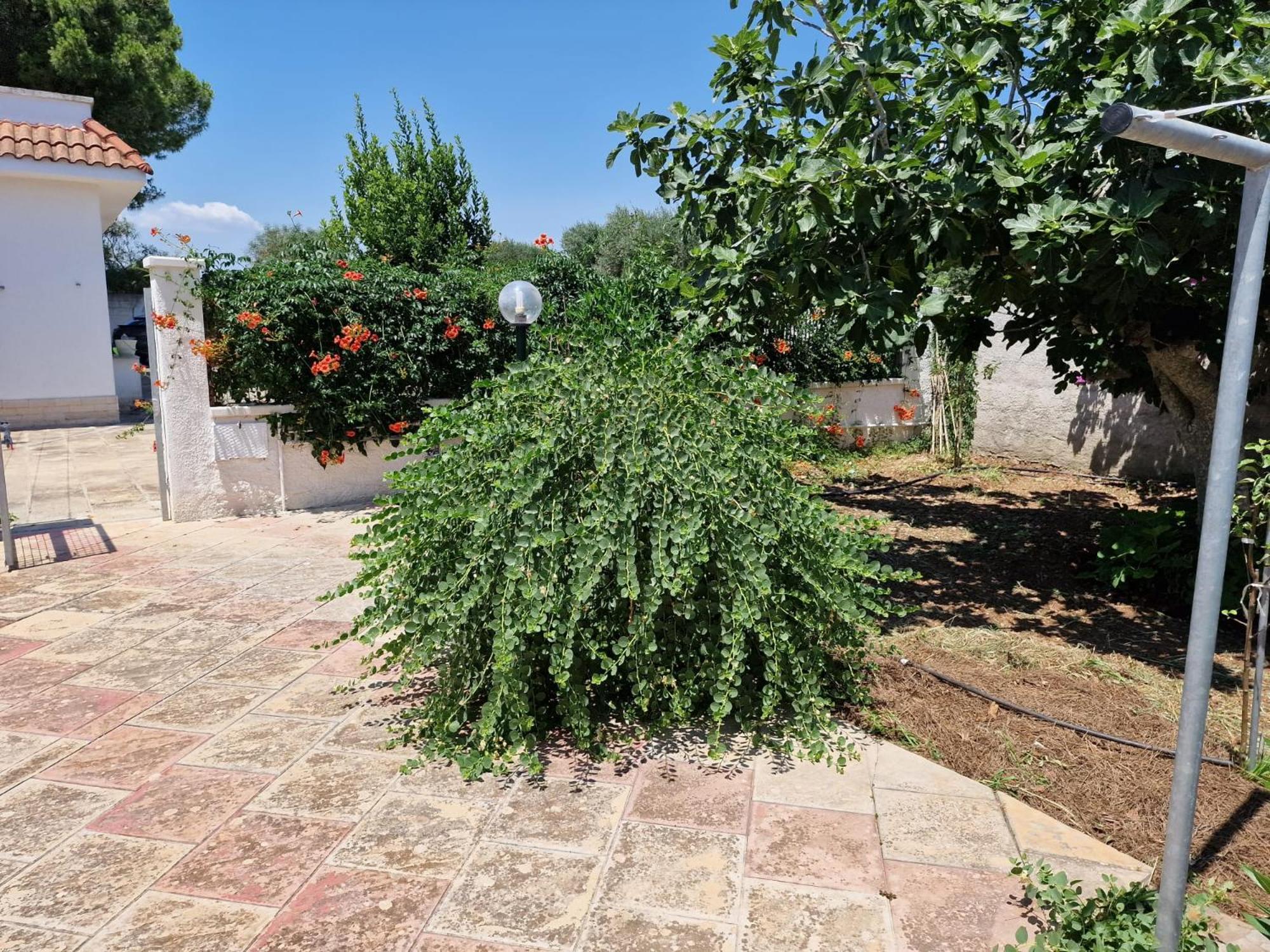 Villa Carmela A Сан-П'єтро-ін-Беванья Екстер'єр фото